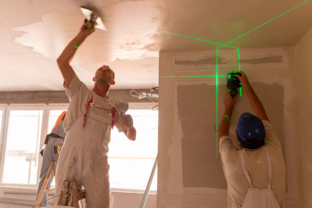 Best Ceiling Drywall Installation  in Mount Vernon, TX